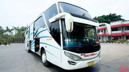 Pahala Kencana Bus-Front Image