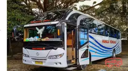 Pahala Kencana Bus-Front Image