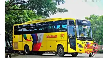 PO Mawar Bus-Side Image