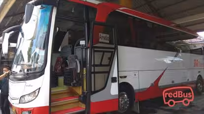M-Trans Bus-Side Image