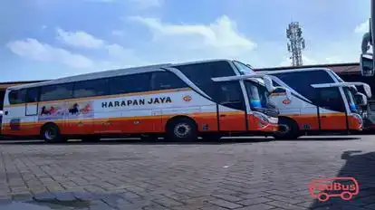 Harapan Jaya Bus-Front Image