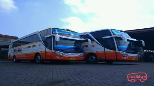 Harapan Jaya Bus-Front Image