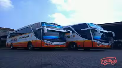 Harapan Jaya Bus-Front Image