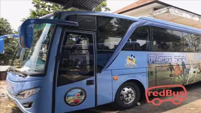 PT Puspasari Jaya Abadi Bus-Side Image