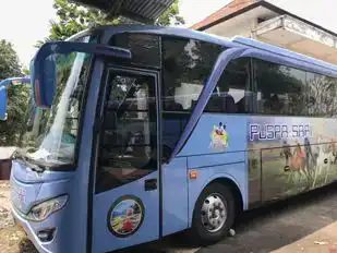 PT Puspasari Jaya Abadi Bus-Side Image