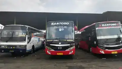 Po santoso Bus-Front Image