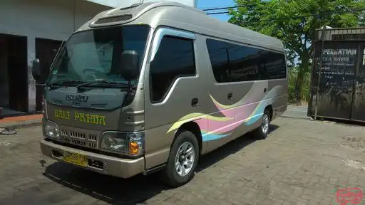 Bali Prima Bus-Front Image