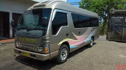 Bali Prima Bus-Front Image