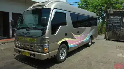 Bali Prima Bus-Front Image