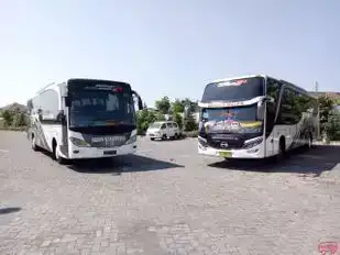 Midas Nusantara Bus-Front Image