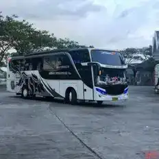 Midas Nusantara Bus-Front Image