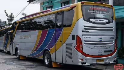 Jackal Holidays Bus-Side Image