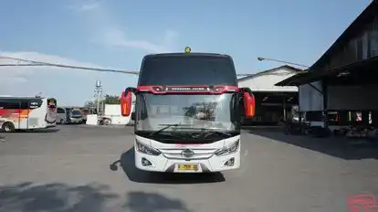 Eka Bus-Front Image