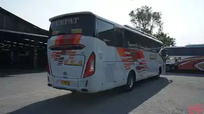 Eka Bus-Side Image