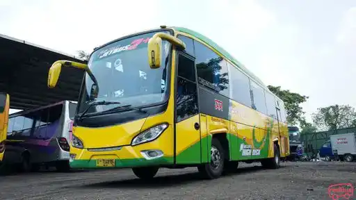 Sari Indah Bus-Front Image