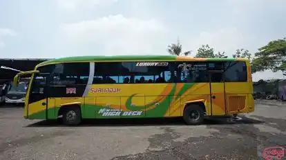 Sari Indah Bus-Side Image