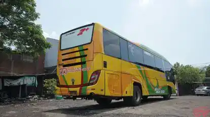 Sari Indah Bus-Side Image