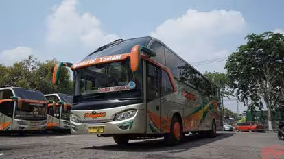 PO Menggala  Bus-Front Image