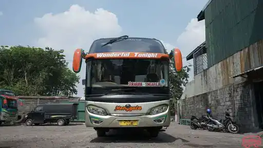 PO Menggala  Bus-Front Image
