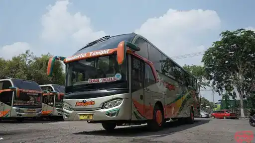 PO Menggala  Bus-Front Image