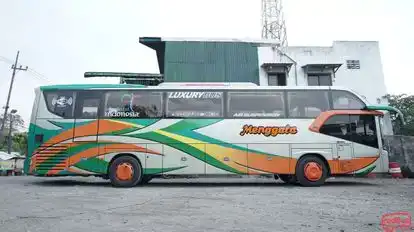 PO Menggala  Bus-Side Image