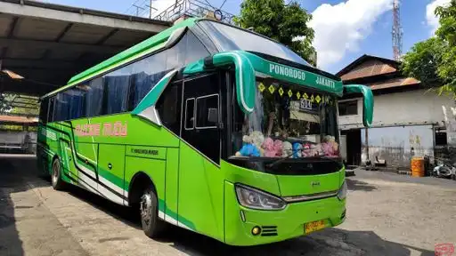 Majoe Muda Mandiri Bus-Front Image