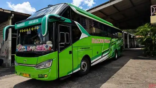Majoe Muda Mandiri Bus-Front Image