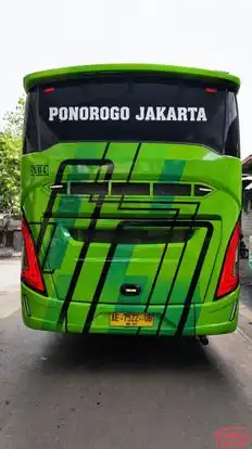 Majoe Muda Mandiri Bus-Front Image