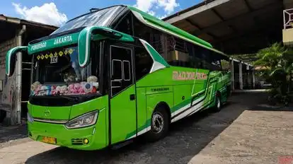 Majoe Muda Mandiri Bus-Front Image