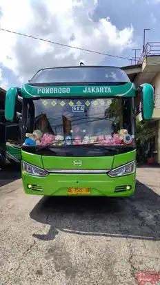 Majoe Muda Mandiri Bus-Front Image