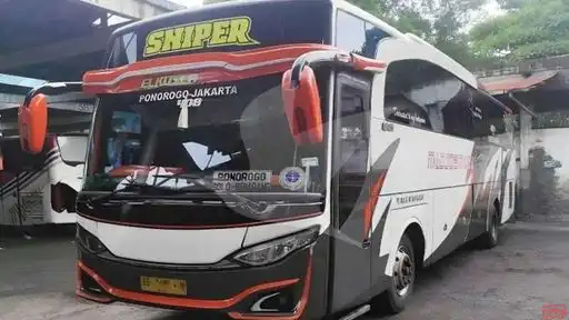Majoe Muda Mandiri Bus-Front Image