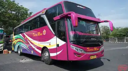 Tiara Mas Bus-Front Image