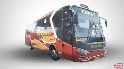 Sugeng Rahayu Bus-Side Image