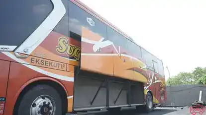 Sugeng Rahayu Bus-Side Image