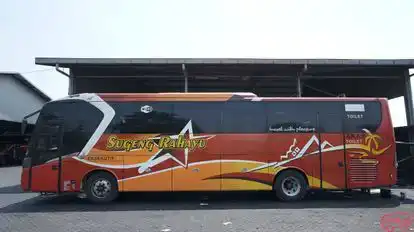 Sugeng Rahayu Bus-Side Image