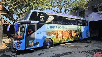 Wisata Komodo Bus-Side Image
