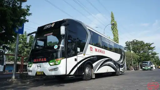PO MAWAR Bus-Front Image