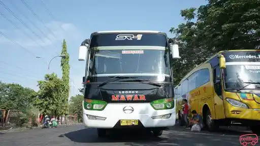 PO MAWAR Bus-Front Image