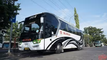 PO MAWAR Bus-Front Image