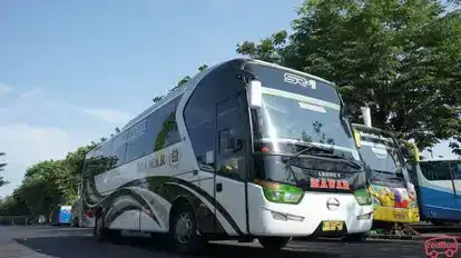 PO Mawar Bus-Front Image