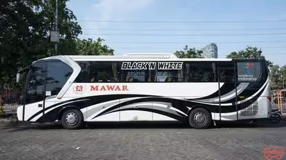 PO MAWAR Bus-Side Image