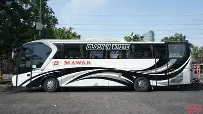 PO Mawar Bus-Side Image