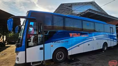 PO Widji Bus-Front Image