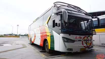 NPM Bus-Side Image