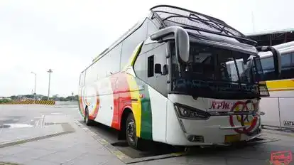 NPM Bus-Side Image