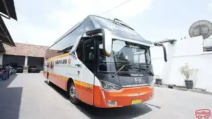 Harapan Jaya Bus-Front Image