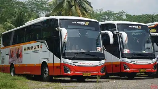 Harapan Jaya Bus-Front Image