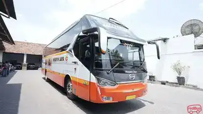 Harapan Jaya Bus-Front Image