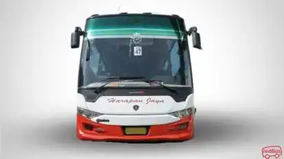 Harapan Jaya Bus-Front Image