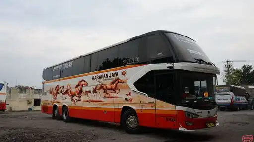 Harapan Jaya Bus-Front Image